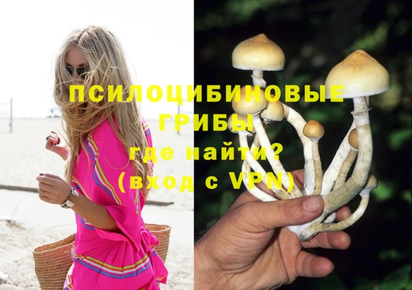 метадон Белокуриха