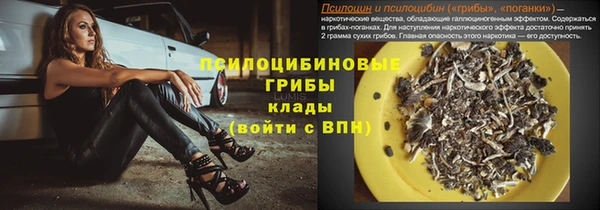 метадон Белокуриха